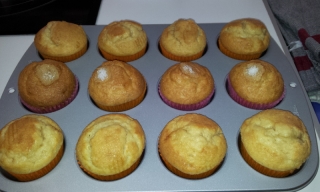 MAGDALENAS DE NARANJA