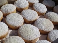 Nevaditos